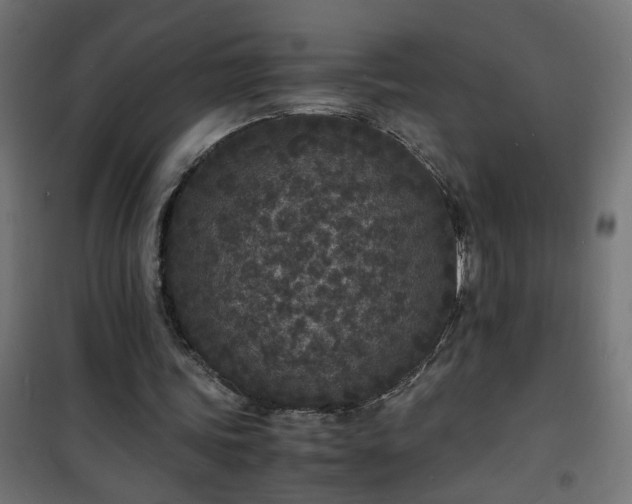 X0000101480339200807141420