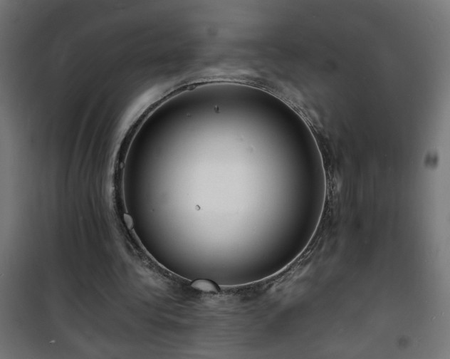 X0000101480340200807141420