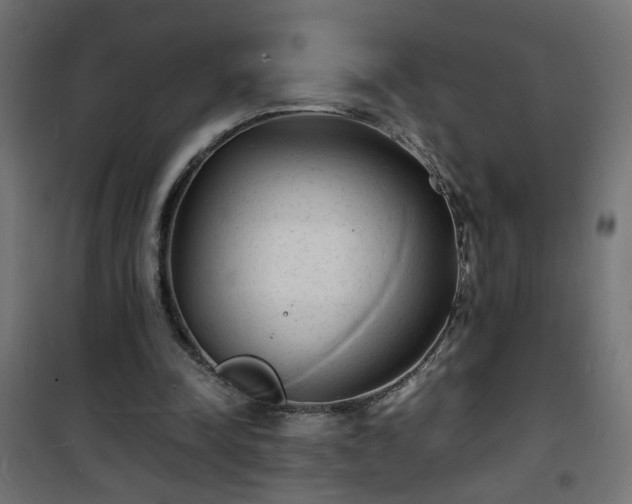 X0000101480342200807141420