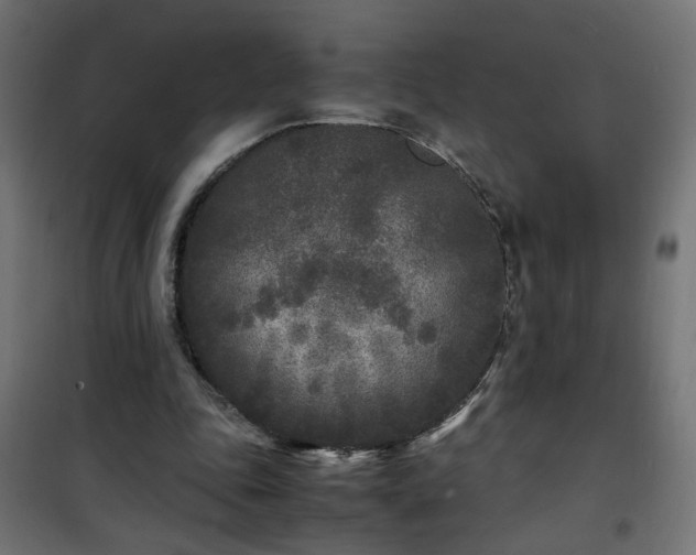 X0000101480343200807141420