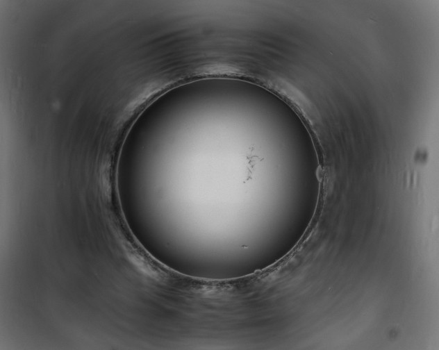 X0000101480345200807141420