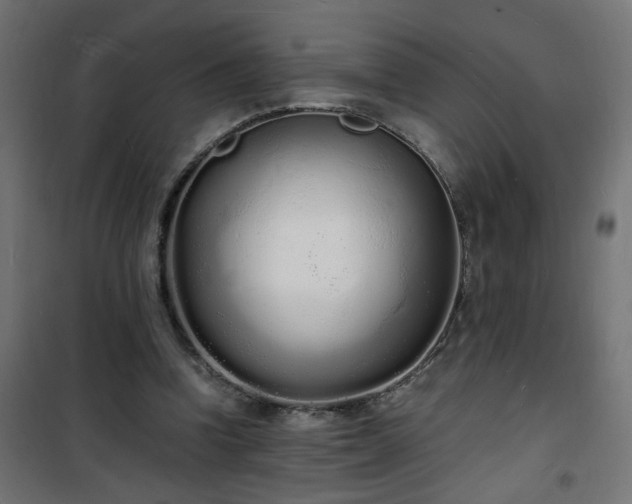 X0000101480346200807141420