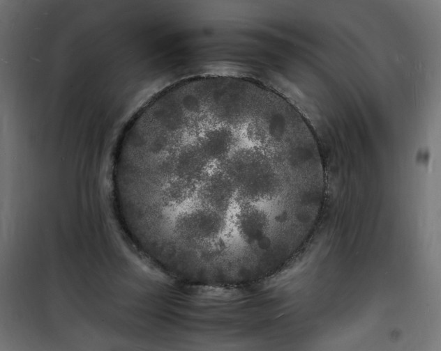 X0000101480347200807141420