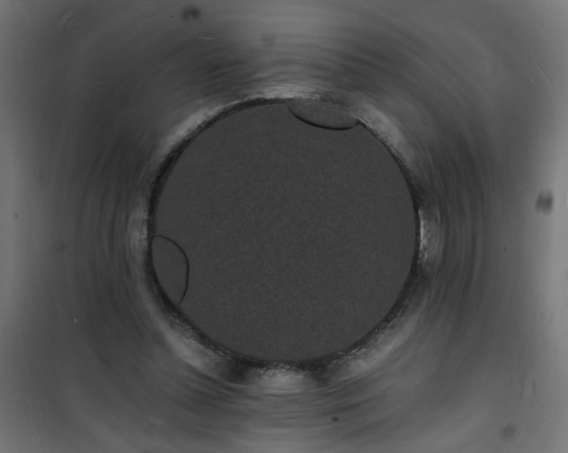 X0000101480348200807141420