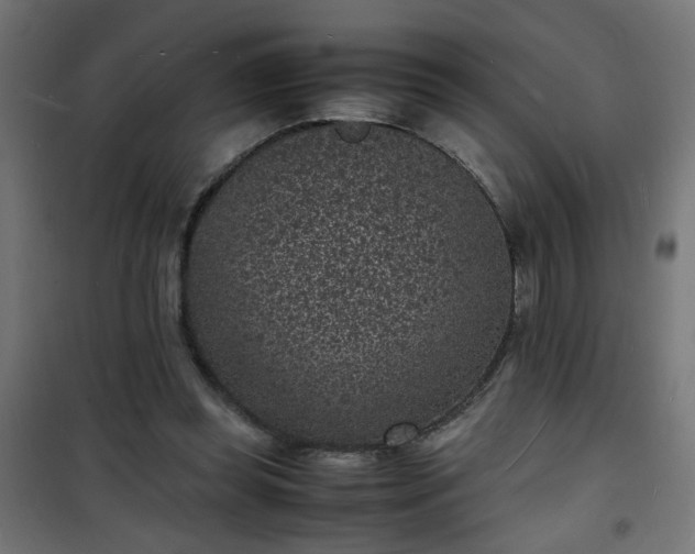 X0000101480349200807141420