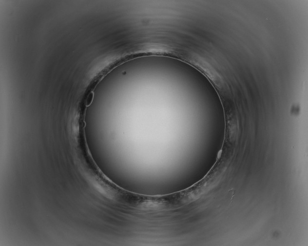 X0000101480350200807141420