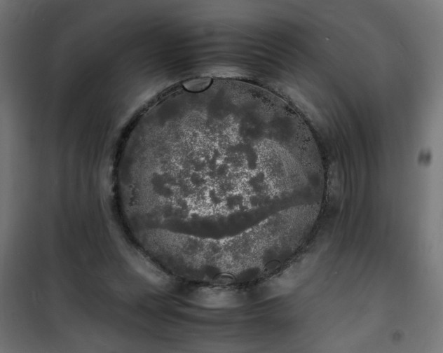 X0000101480351200807141420