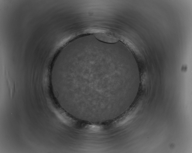 X0000101480352200807141420