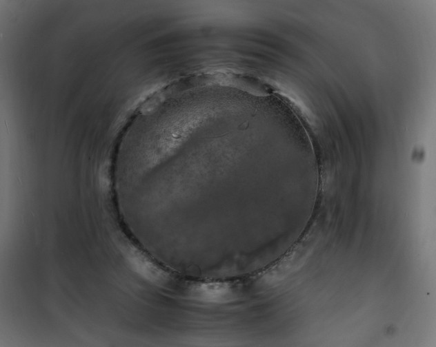 X0000101480353200807141420