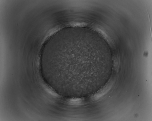 X0000101480357200807141420