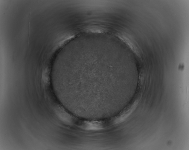 X0000101480359200807141420