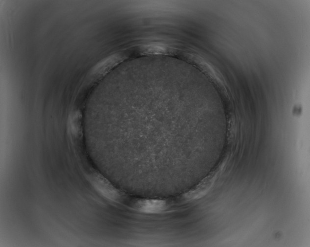 X0000101480361200807141420