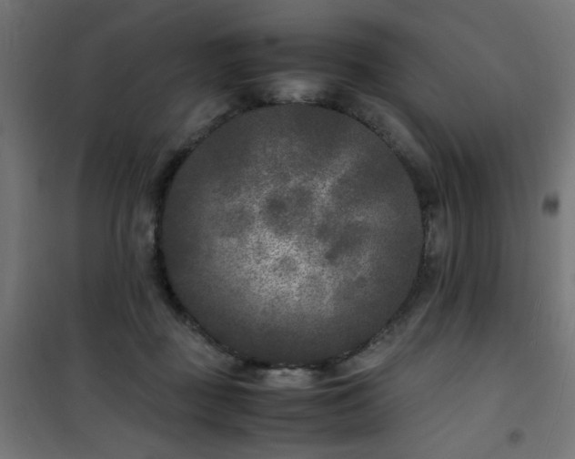 X0000101480363200807141420