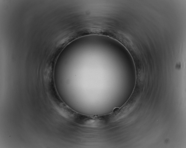 X0000101480364200807141420