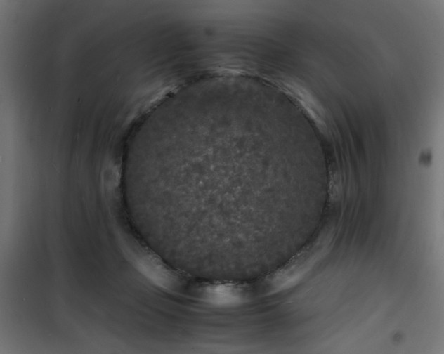 X0000101480365200807141420