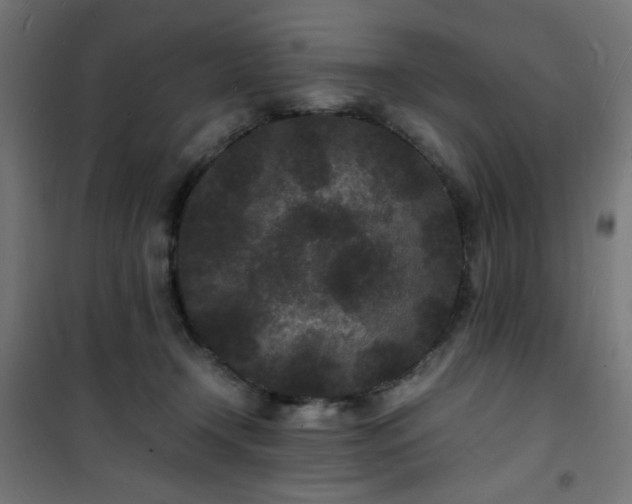 X0000101480366200807141420