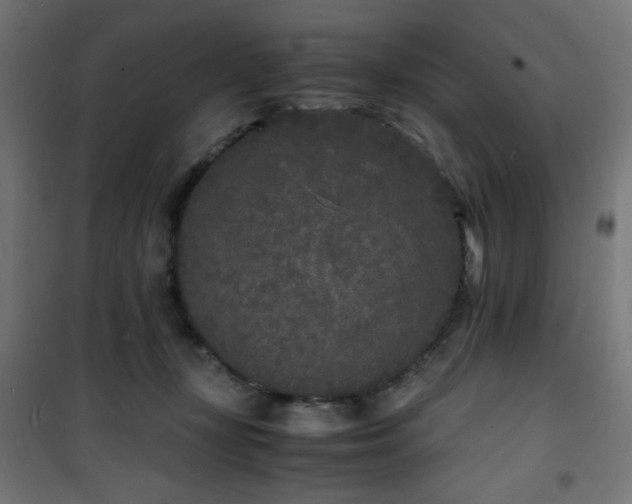 X0000101480367200807141420