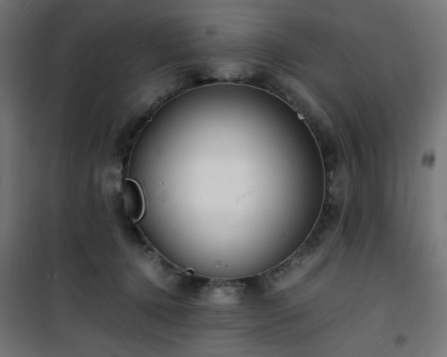 X0000101480368200807141420