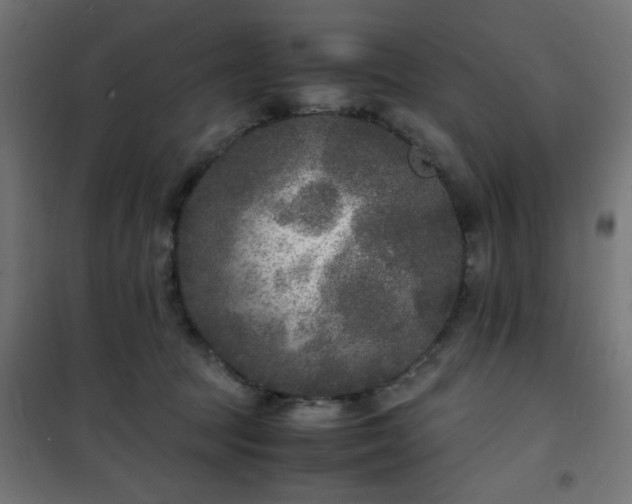 X0000101480369200807141420