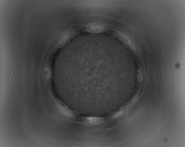 X0000101480371200807141420