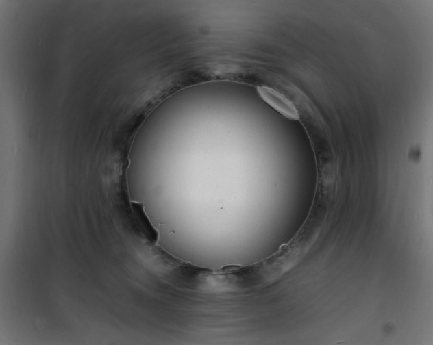 X0000101480372200807141420