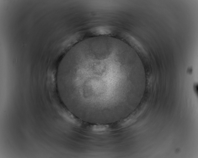 X0000101480373200807141420