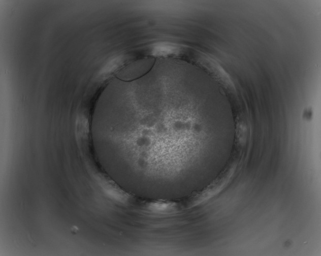 X0000101480375200807141420