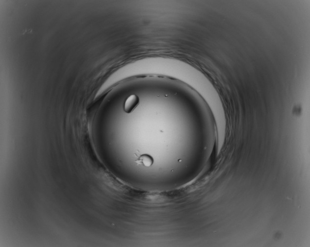 X0000101480376200807141420