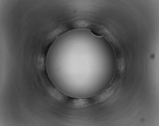 X0000101480378200807141420