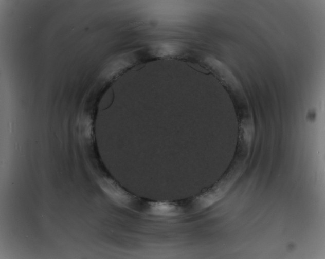 X0000101480380200807141420