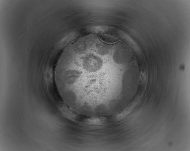 X0000101480381200807141420