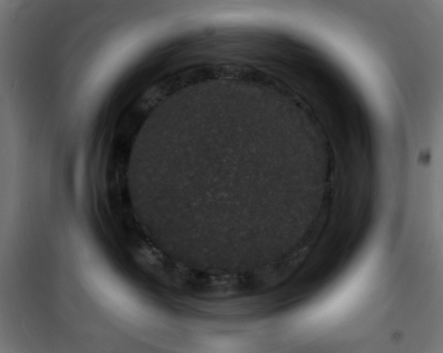 X0000101480382200807141420