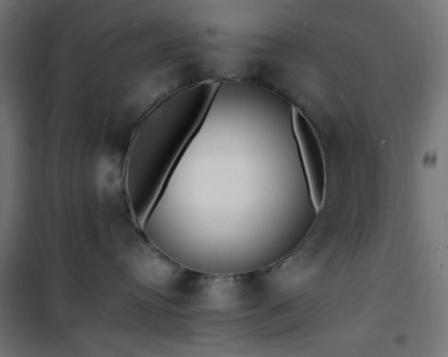 X0000101480384200807141420