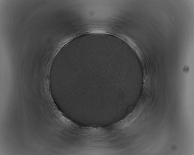 X0000101480385200807141420