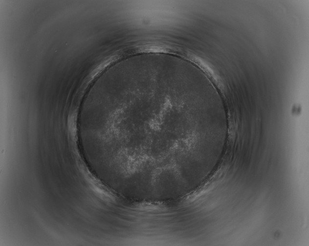 X0000101480386200807141420