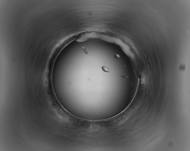 X0000101480388200807141420