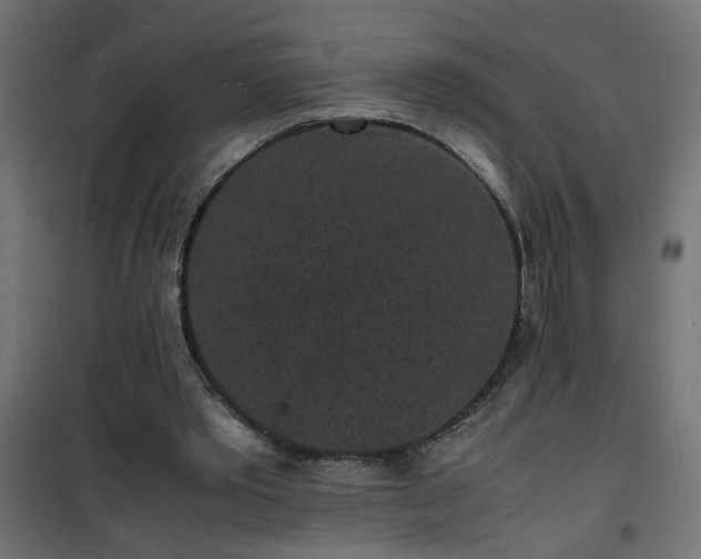 X0000101480389200807141420