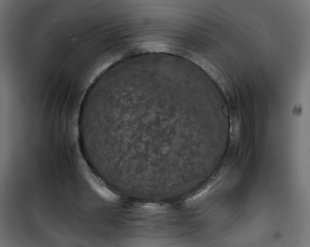 X0000101480390200807141420