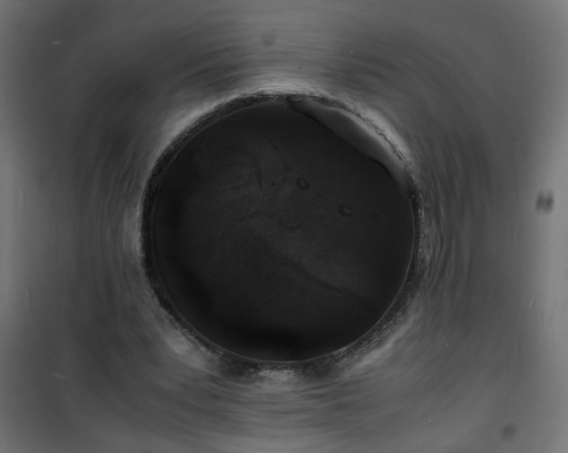 X0000101480391200807141420