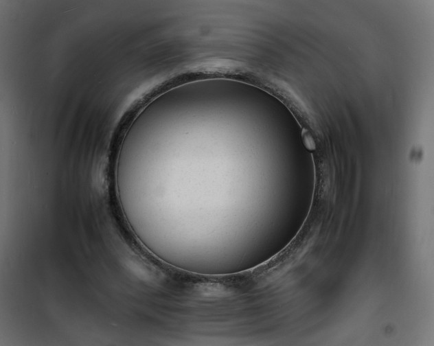 X0000101480392200807141420