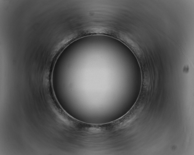 X0000101480394200807141420