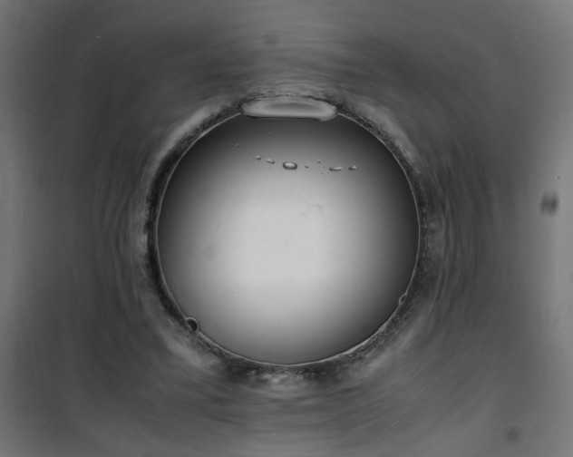 X0000101480395200807141420