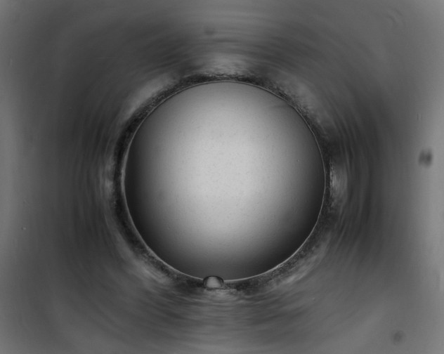 X0000101480396200807141420