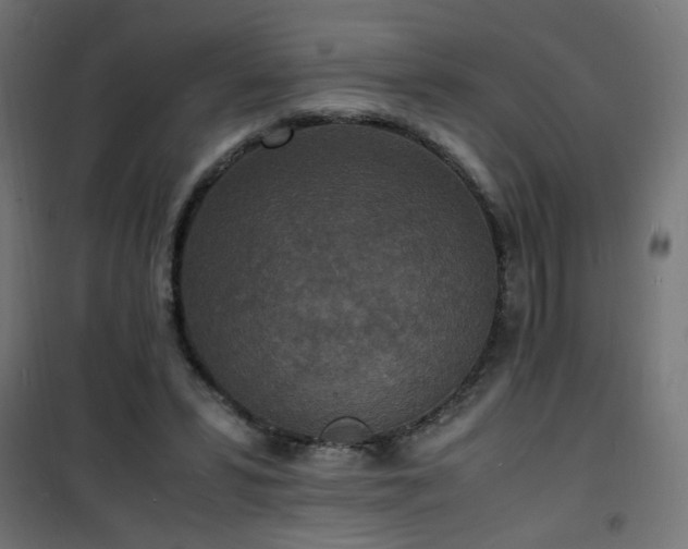 X0000101480399200807141419