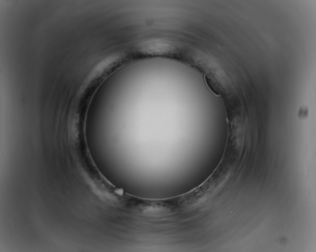 X0000101480400200807141419