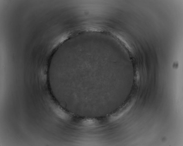 X0000101480402200807141419