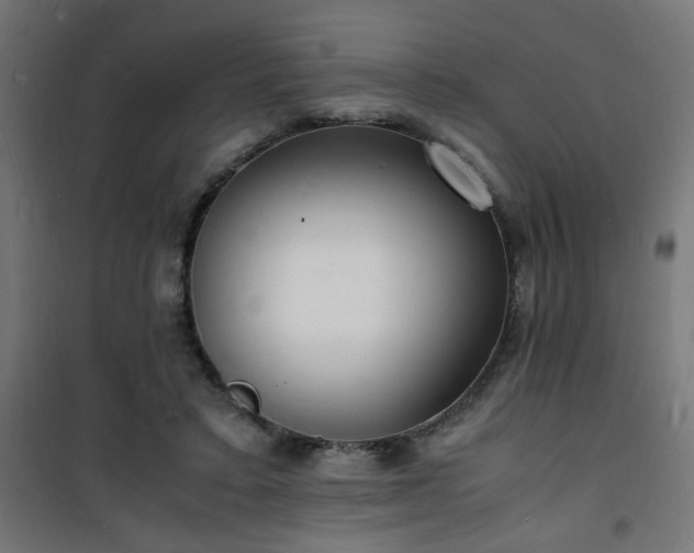 X0000101480403200807141419