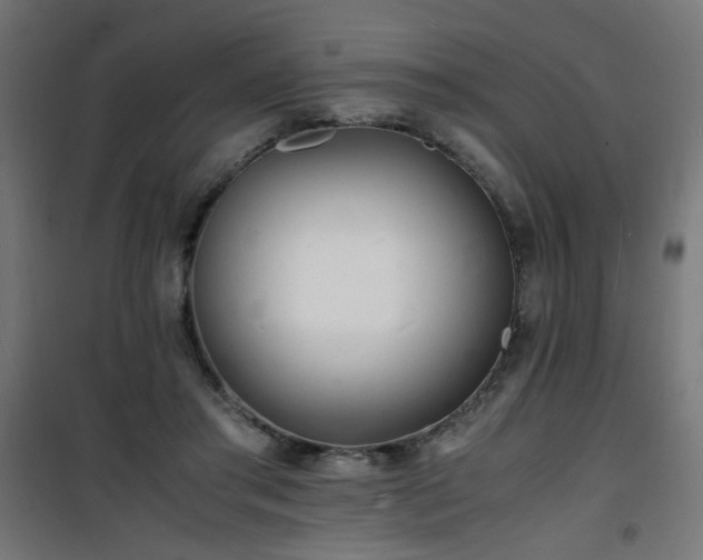 X0000101480405200807141419