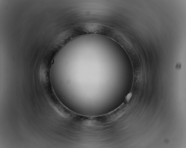 X0000101480408200807141419