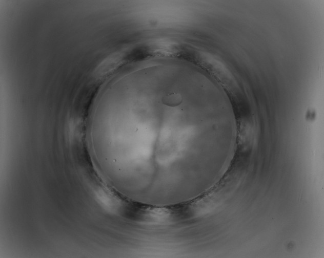 X0000101480409200807141419